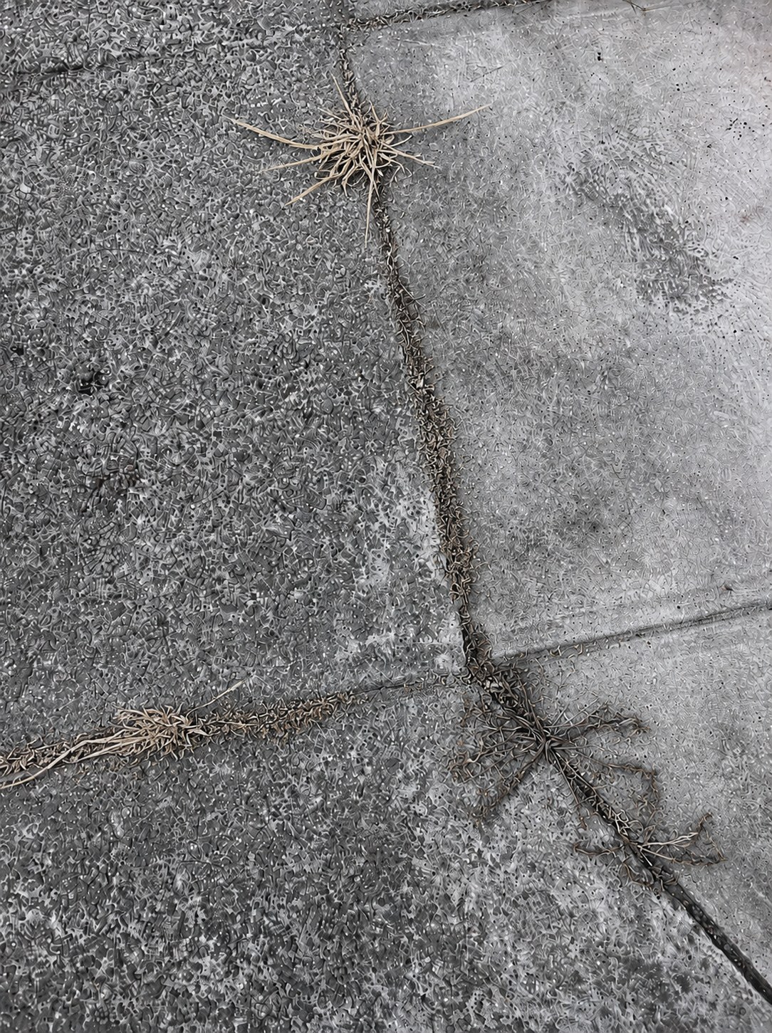Week 3 — Curb & Pavement Edges