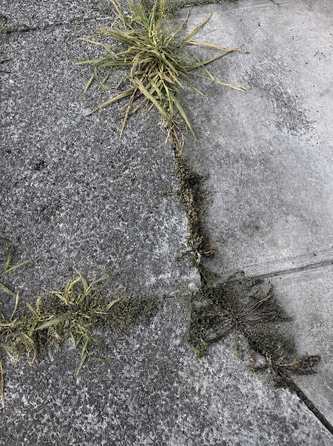 Day 5 — Curb & Pavement Edges