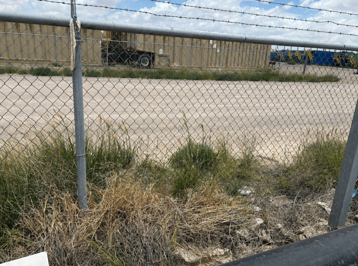 Spray day — Fence Lines