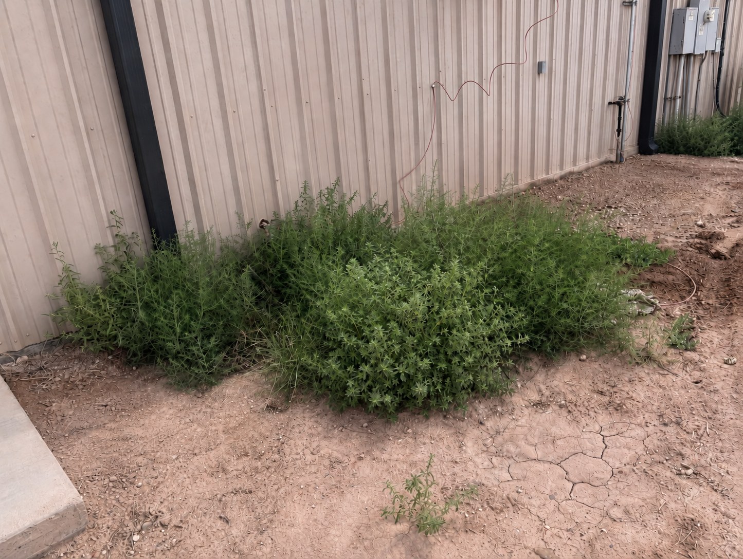 Spray day — Building Perimeters & Foundations